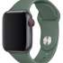 Everstone ES-AWBS-108 Apple Watch 38/40мм силиконовый Green