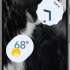 Google Pixel 7 128Gb US Obsidian