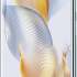 Honor 90 12/256Gb Global Emerald Green