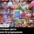 Samsung 75" Crystal UHD 4K CU8500 серый UE75CU8500U