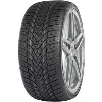 Arivo Winmaster ProX ARW 3 255/35 R19 96V Без шипов