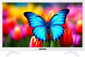 Asano 24LH7011T