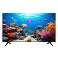 BQ 42F06B черный