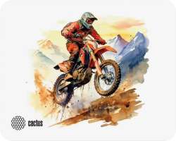Cactus Коврик для мыши CS-MP-D12S Motobike 250x200x3мм