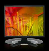 Монитор 21,5" Eizo FlexScan S2133 1600x1200, 6 мс, 420 кд/м2, 1500:1, 178°/178°, IPS, DVI-D (HDCP), DisplayPort, VGA, USB*2, HAS, Pivot, black