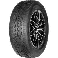 Шина Nexen Roadian HP 305/40 R22 114V