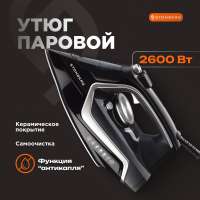 Утюг Stonberg Y-101B черный