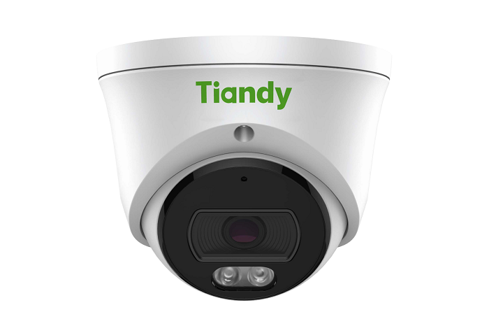 Видеокамера IP TIANDY TC-C320N I3/E/Y/2.8mm купольная, уличная, 1920x1080, 2MP